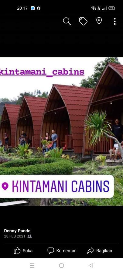 Kintamani Cabins Экстерьер фото