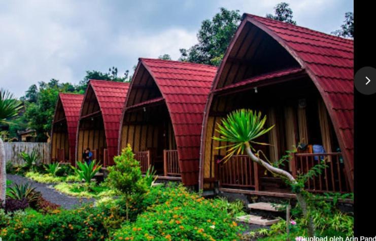 Kintamani Cabins Экстерьер фото